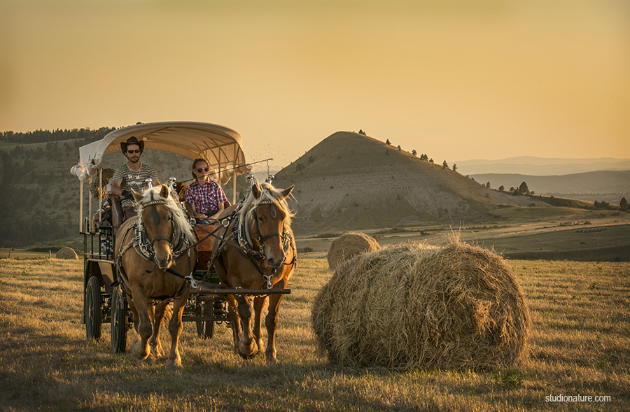randonnee cheval lozere