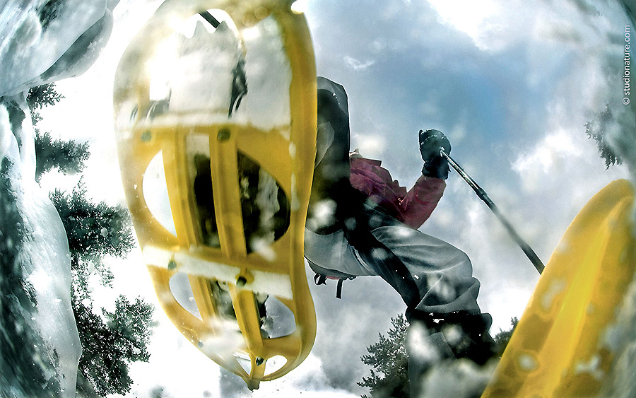 © Calendini-studionature.com-Lowepro1