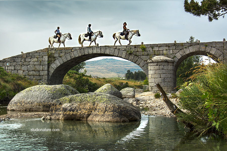 randonnée cheval Lozère © studionature.com