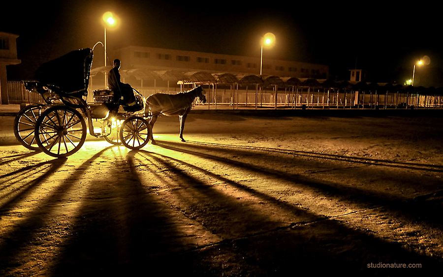 © Calendini- studionature.com- Egypte- Lowepro