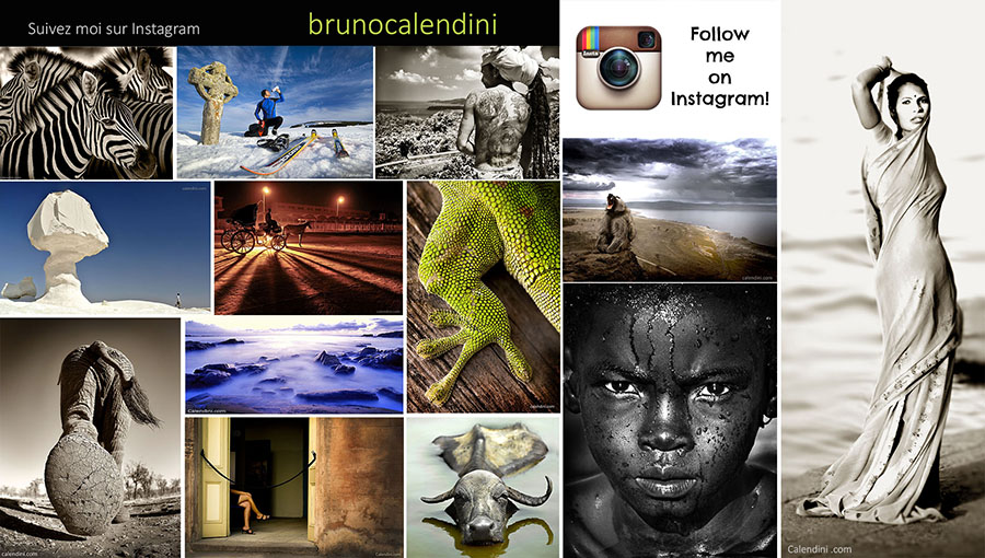 Instagram studionature.com