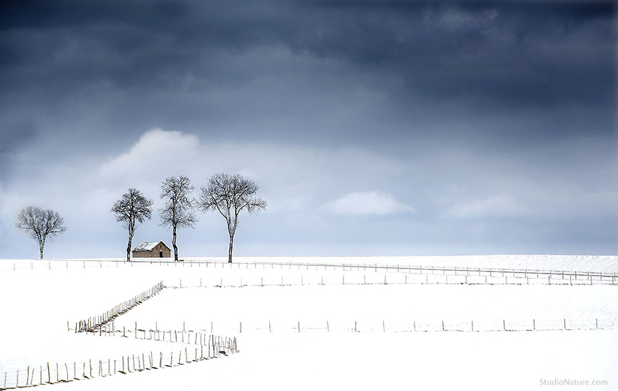 neige en Lozere StudioNature.com