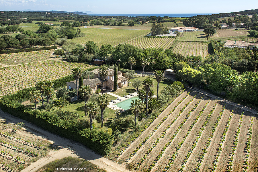Clos des vignes - StudioNaturecom