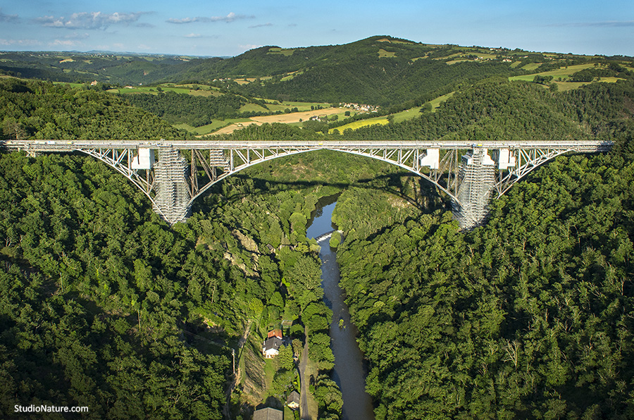 Viaduc Millau - StudioNature.com