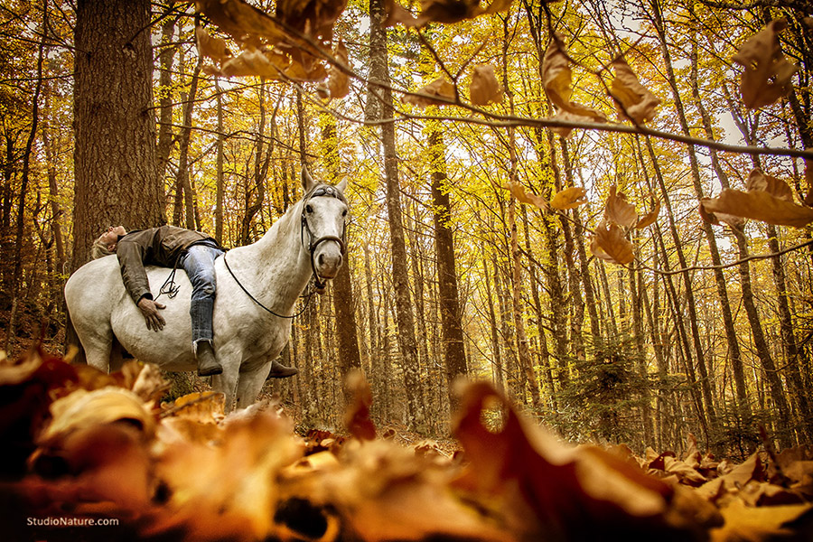 Equitation Lozère - StudioNature.com.jpg