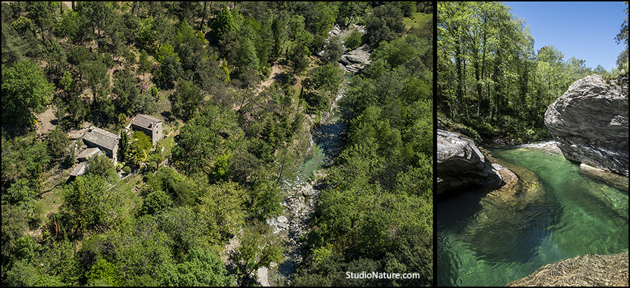 Gite Cévennes -Photographe Lozère - StudioNature.com