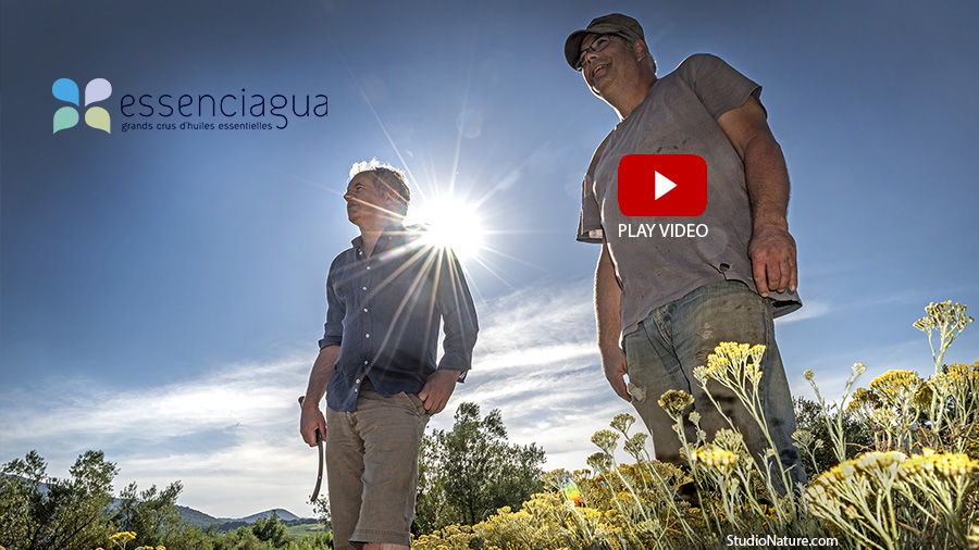 Essenciagua Lozère - StudioNature.com