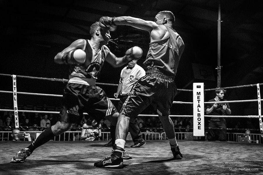 Photographe Lozère - Boxe - StudioNature.com 