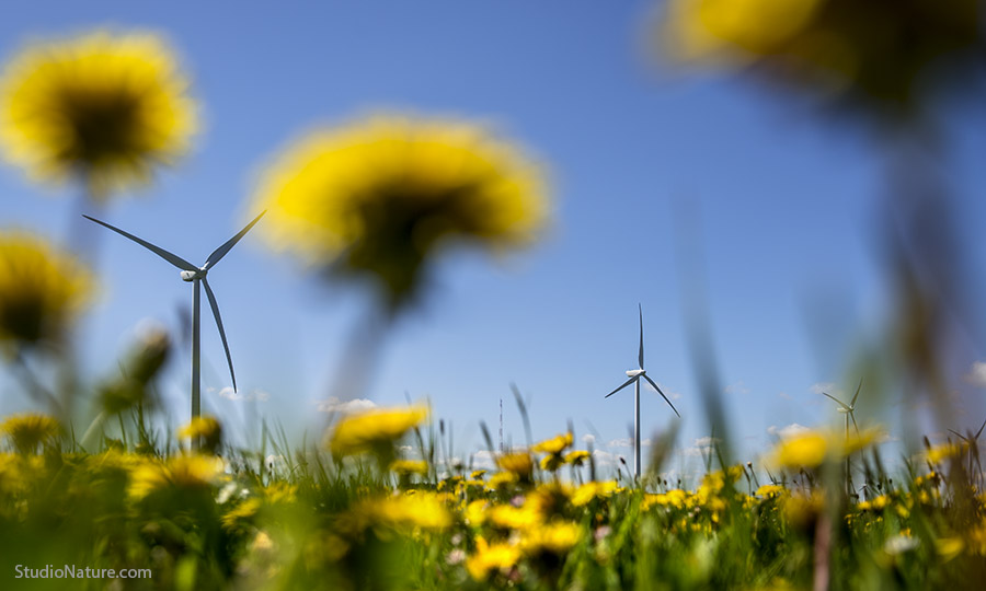 Photographe Lozère - Eoliennes Aveyron