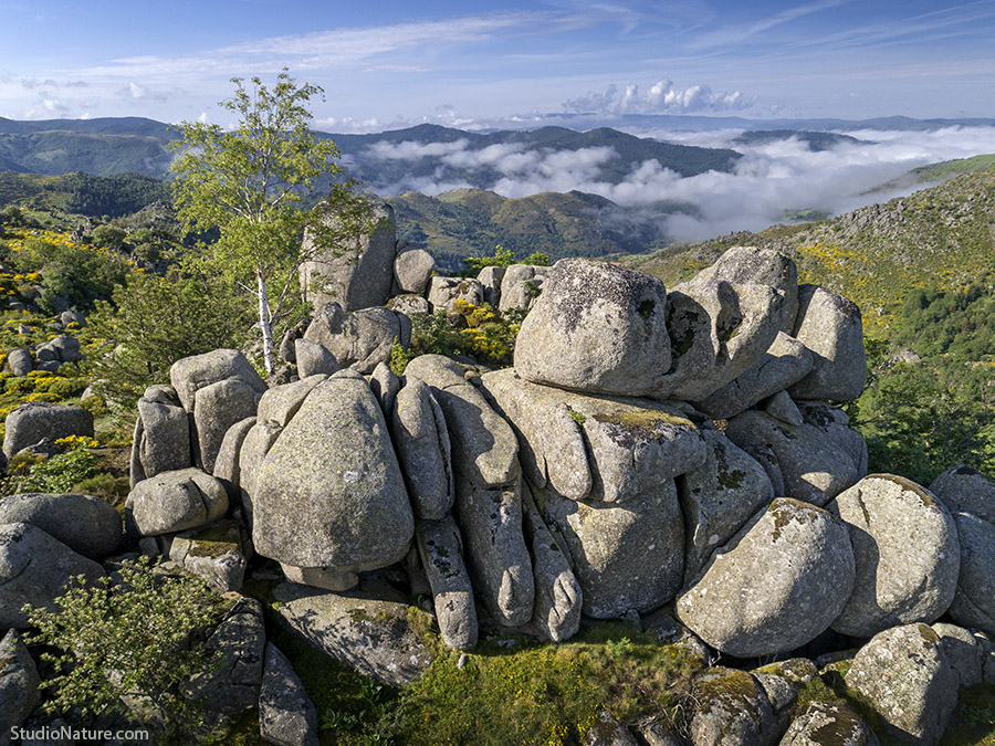 Chaos de Runes - Mont Lozère