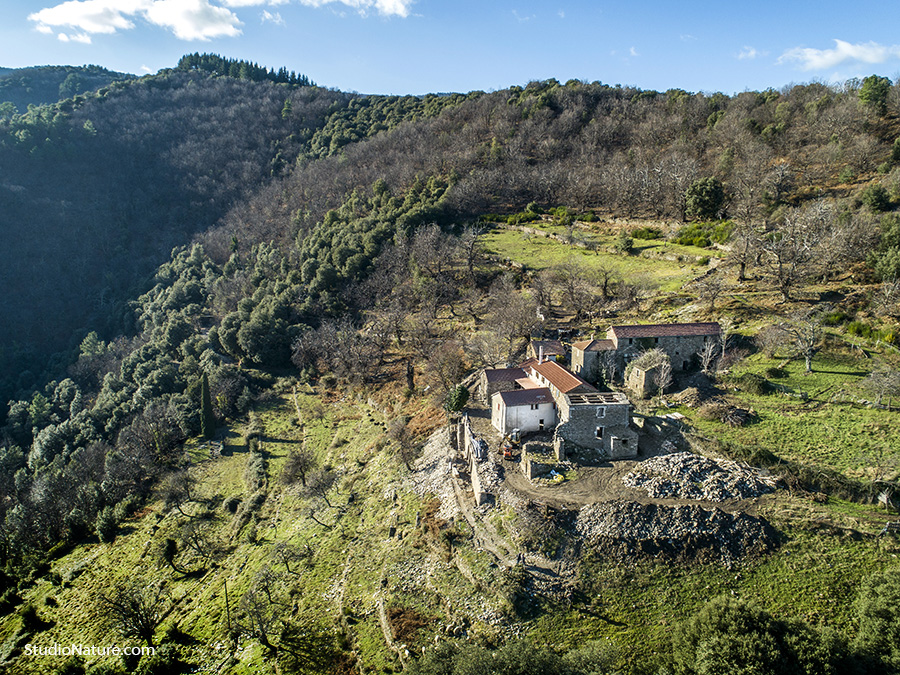 Drone Cévennes