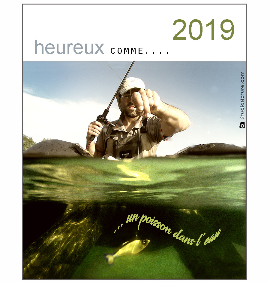 Vœux 2019 StudioNature.com