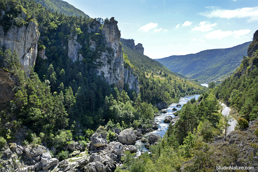 Gorges du Tarn