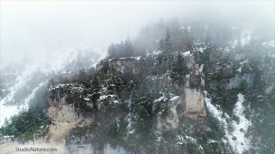 Gorges du Tarn hiver