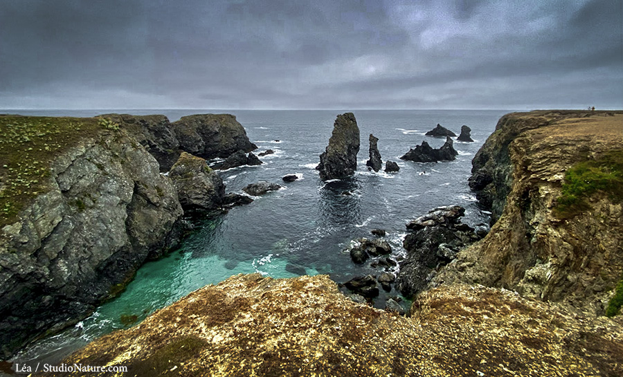 Belle-ile